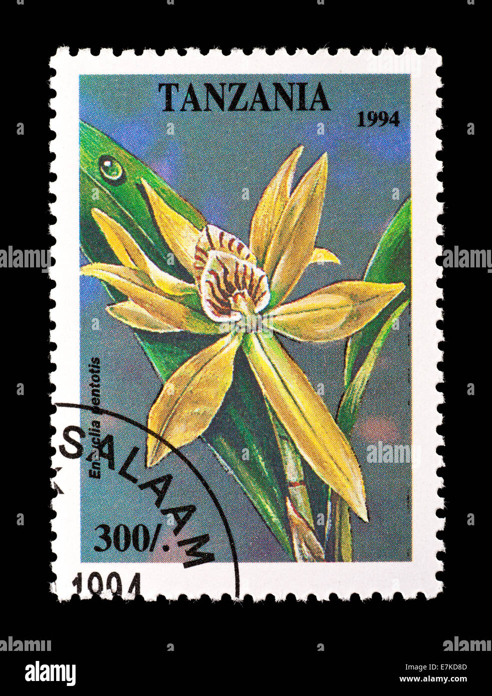 Postage stamp from Tanzania depicting an orchid (Encyclia pentotis) Stock Photo