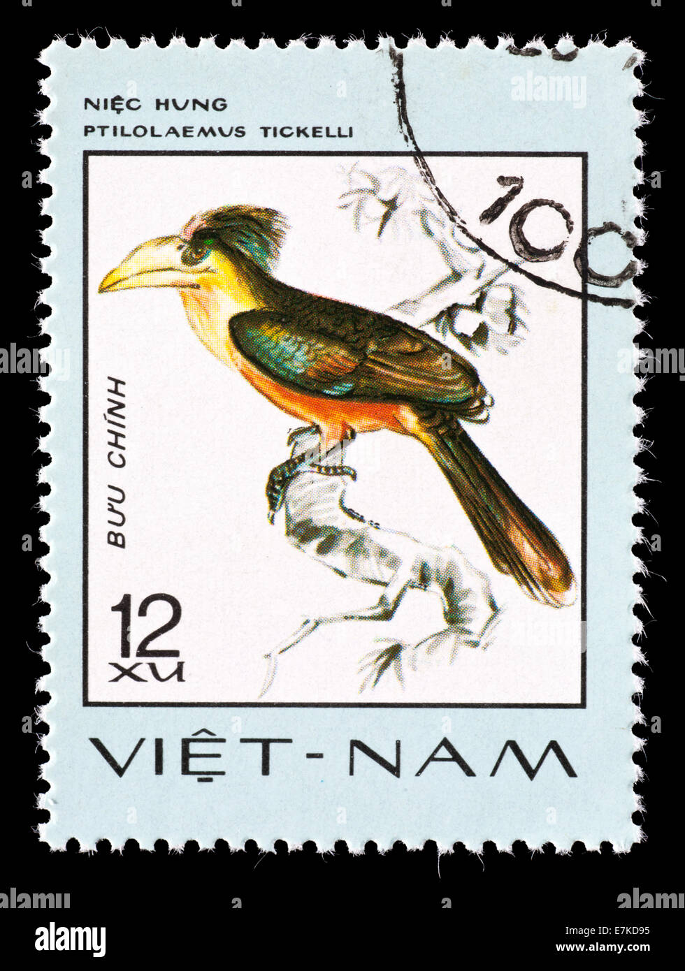 Postage stamp from Vietnam depicting a Tickells Brown Hornbill (Ptilolaemus tickelli) Stock Photo