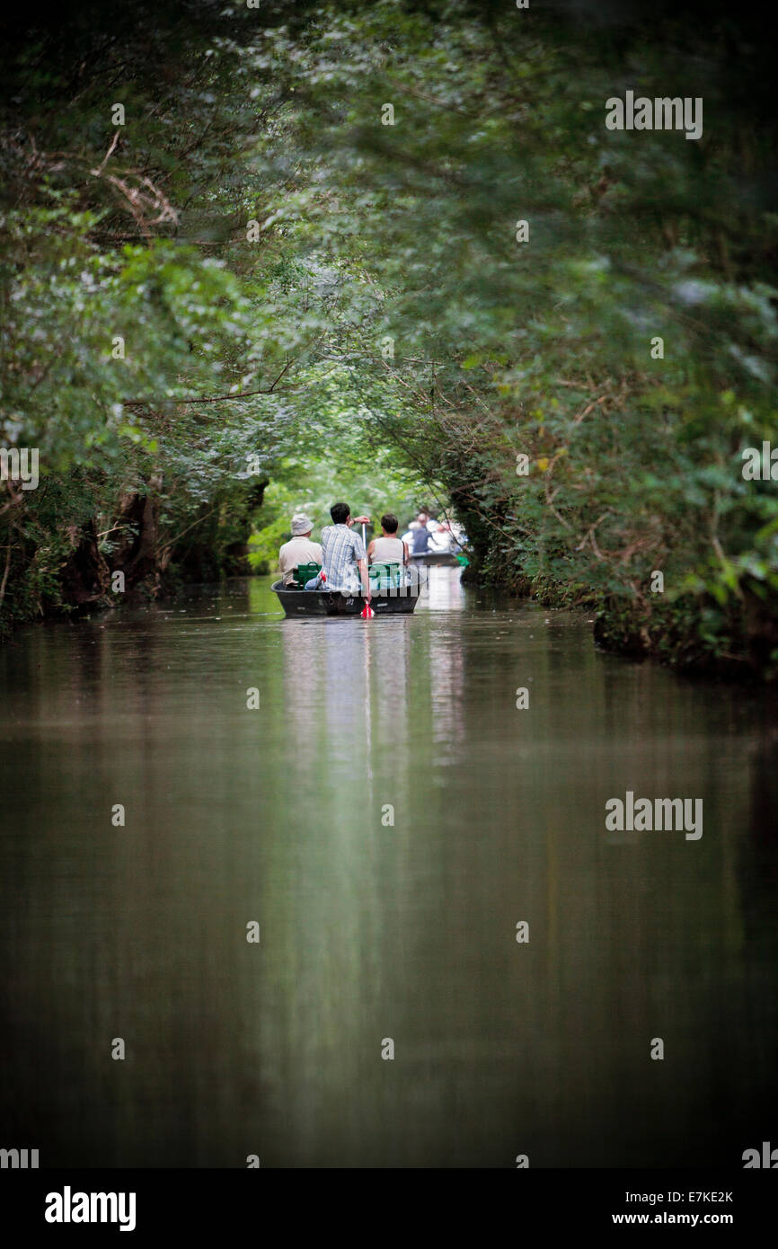 red paddle on river boat canoe kayak journey travel holiday relax grow