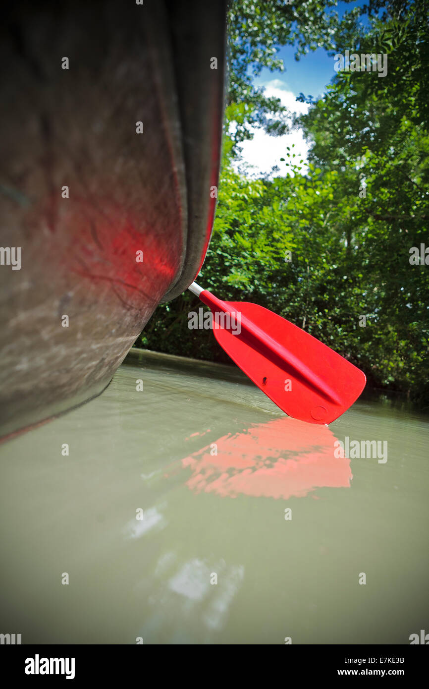 red paddle on river boat canoe kayak journey travel holiday relax grow