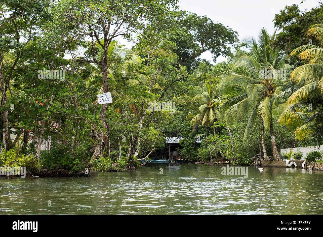 Rio Dulce, Izabal, Guatemala Stock Photo Alamy