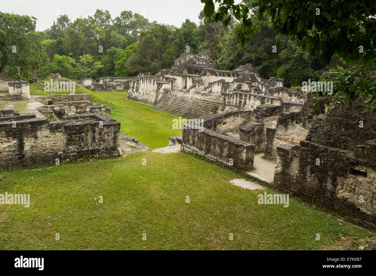 Acropolis Central in Tikal National Park, El Peten, Guatemala Stock ...