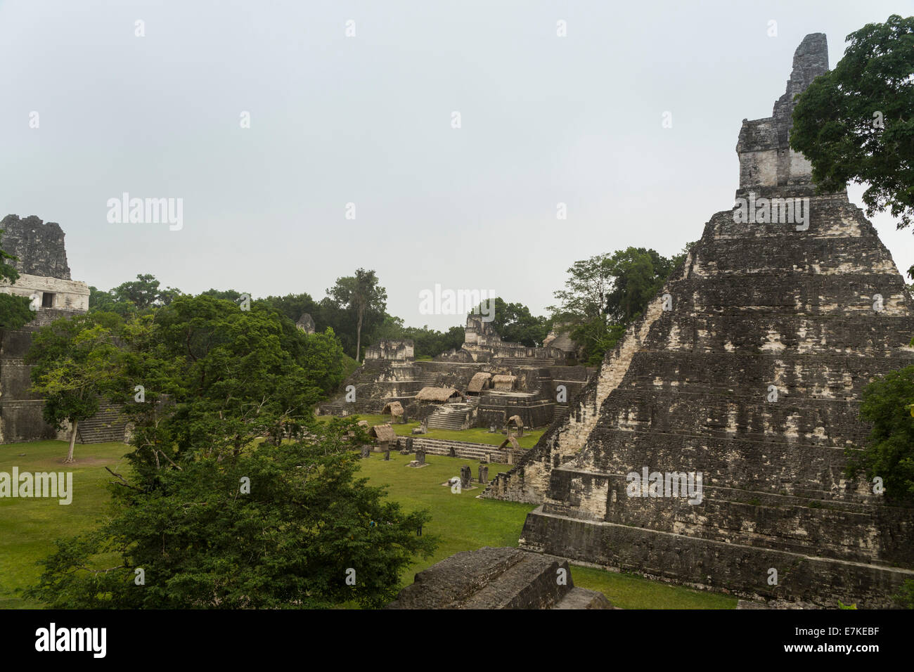 Great Plaza, Tikal National Park, El Peten, Guatemala Stock Photo Alamy