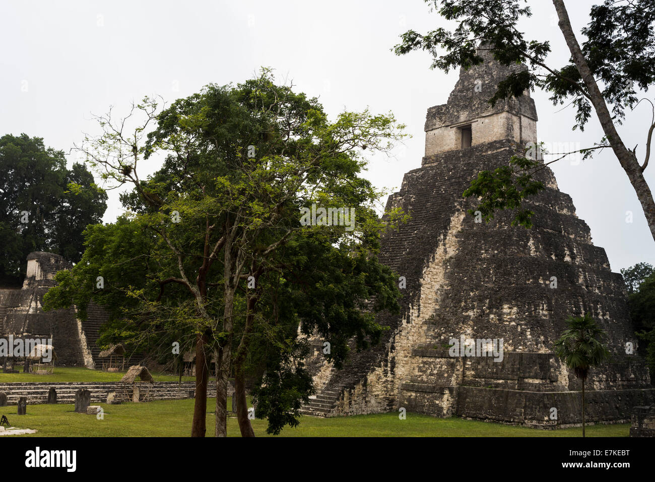 Temple 1 (Jaguar temple) Great Plaza, Tikal National Park, El Peten, Guatemala Stock Photo