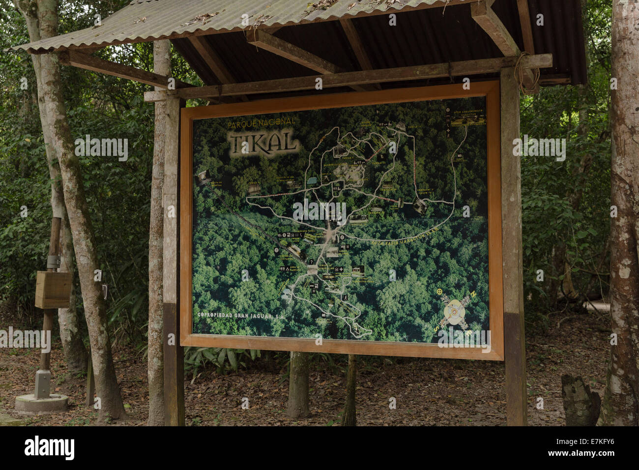Paln of Tikal National Park, El Peten, Guatemala Stock Photo Alamy