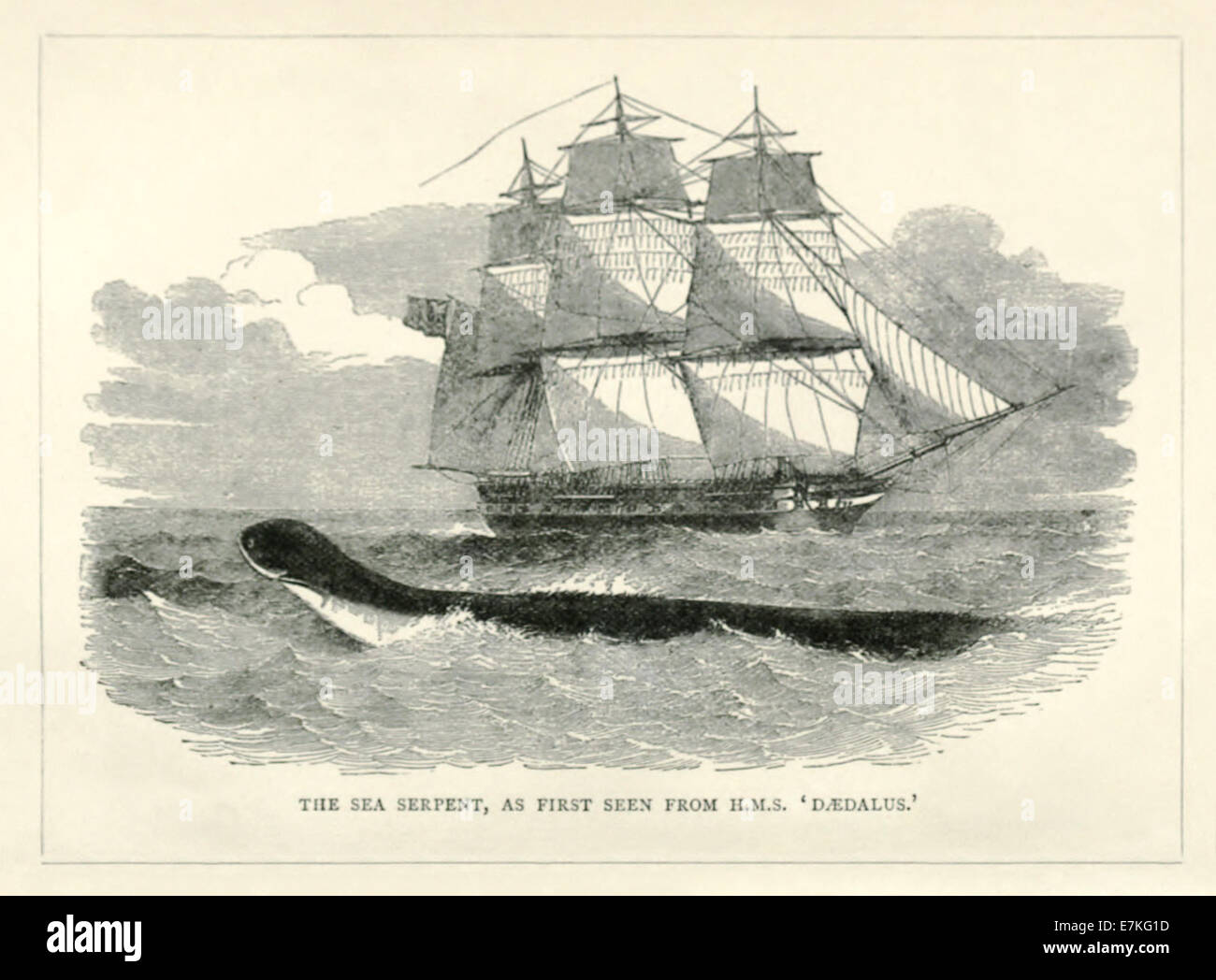 The Great Sea serpent , as first seen from HMS Daedalus 1848. See description for more information. Stock Photo