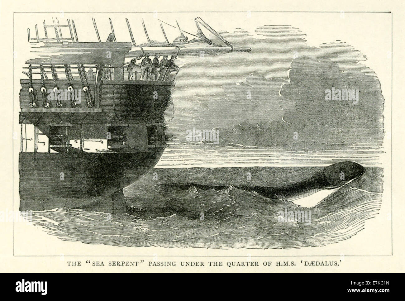 The Great Sea serpent seen from HMS Daedalus on 6 August 1848 passing under the quarter. See description for more information. Stock Photo
