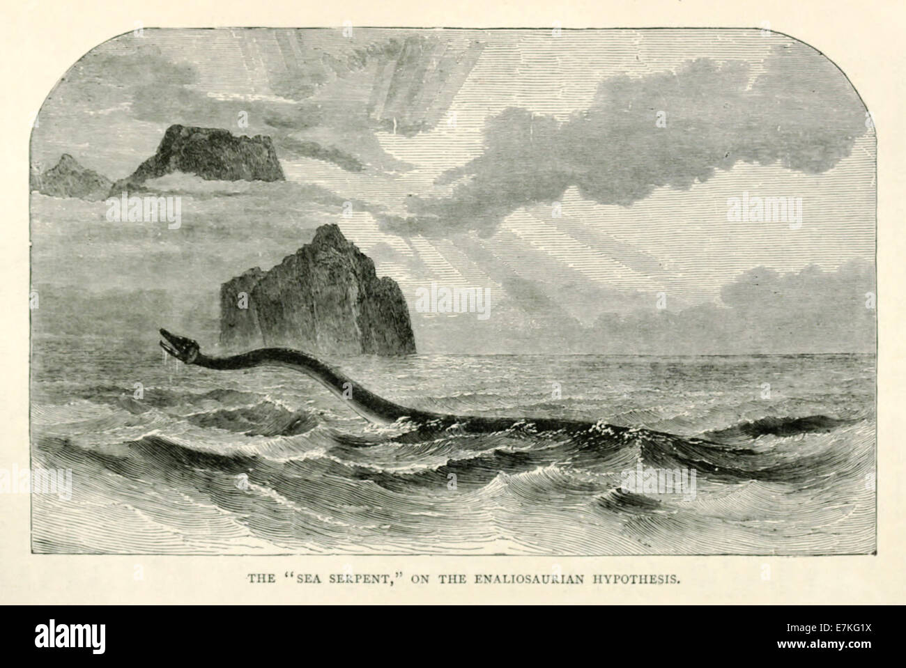 Sea serpent, illustration of the surviving dinosaur as explanation of sightings. See description for further information. Stock Photo