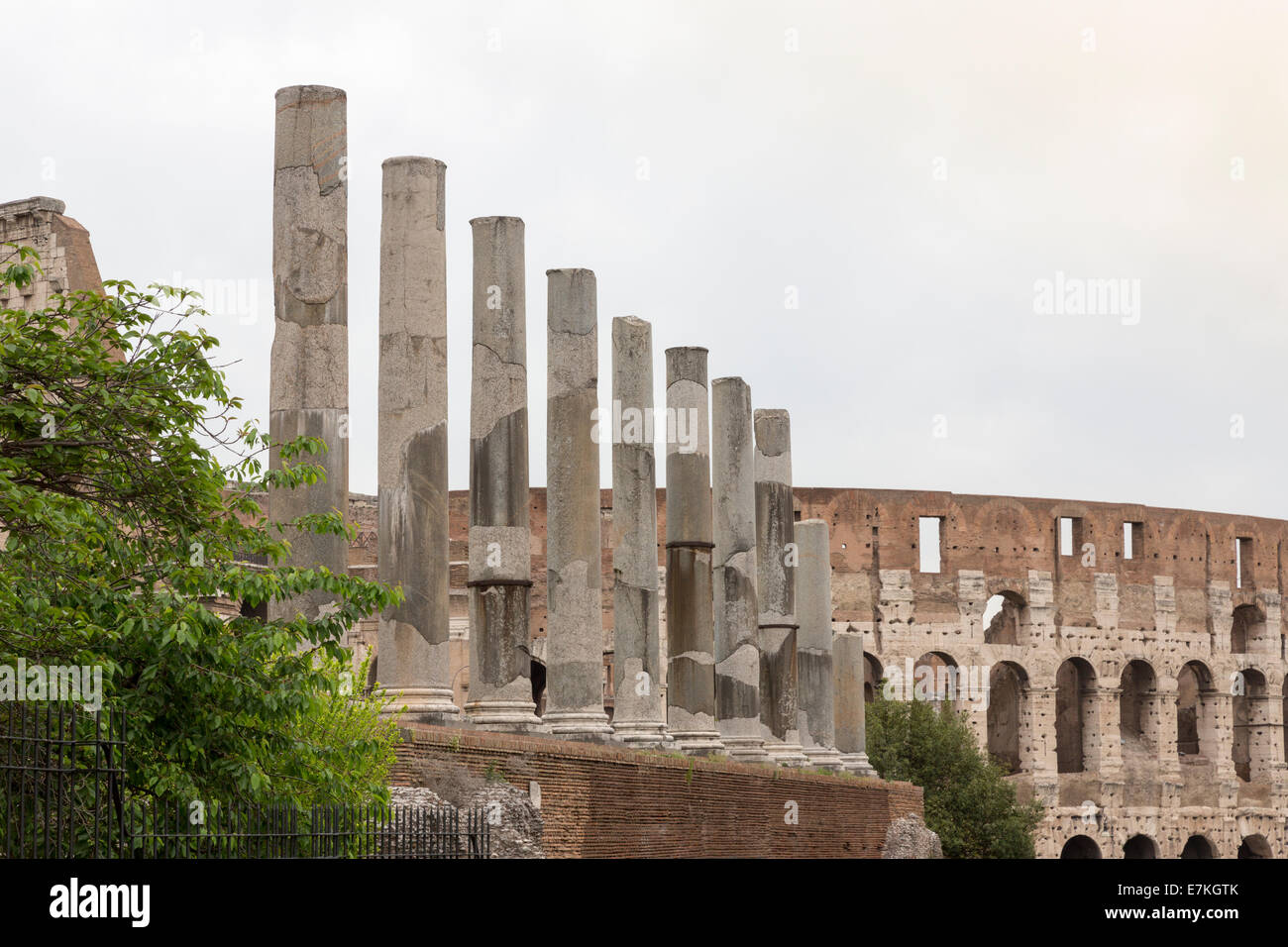 Collosal Rome The colosseum in rome hi-res stock photography and images - Alamy
