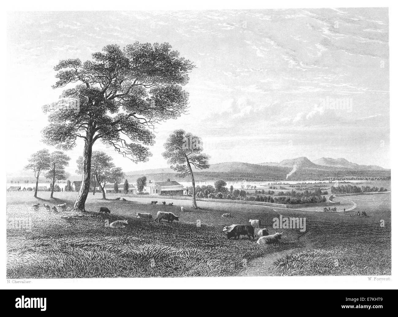 Colac victoria Black and White Stock Photos & Images Alamy