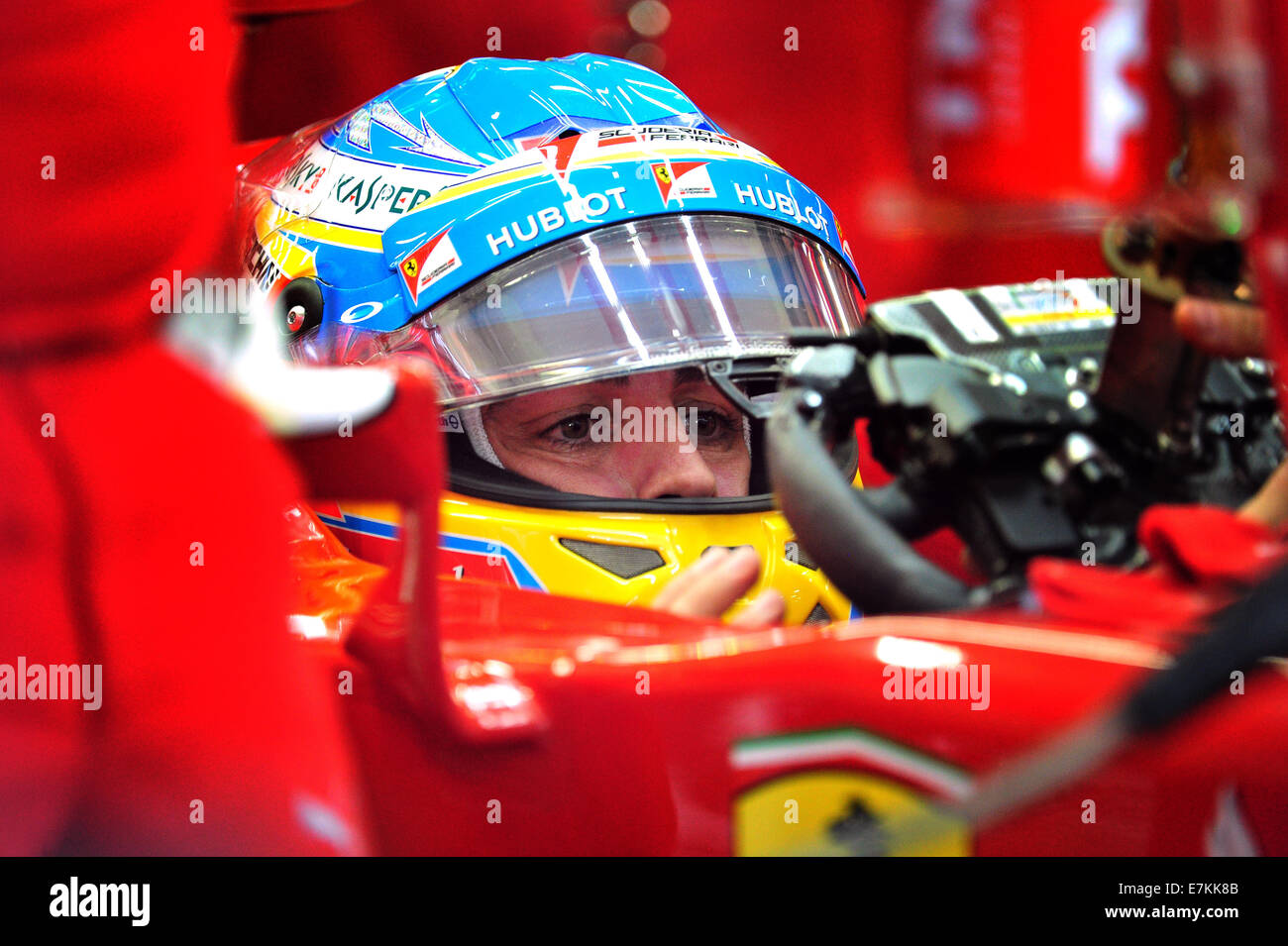fernando alonso 2014