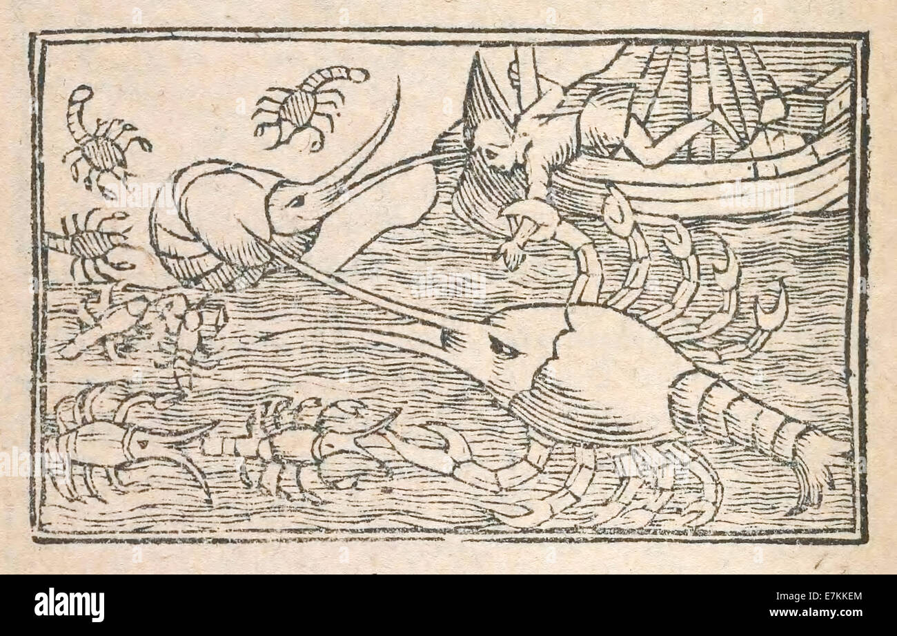 Monstrous giant lobster illustrated by Olaus Magnus (1490-1557) published in 1555. See description for more information. Stock Photo