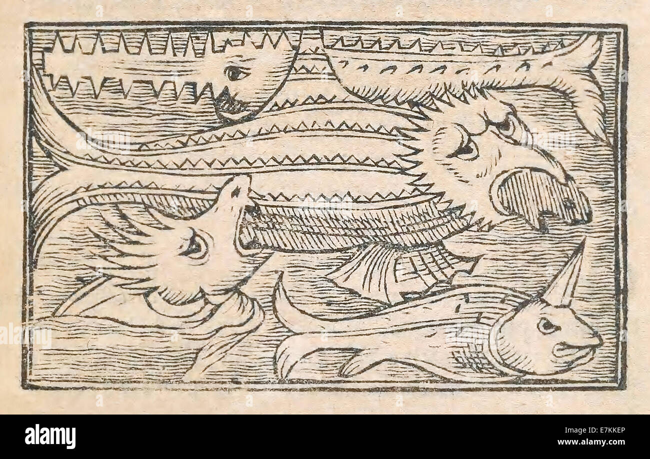 Monstrous sea creatures illustrated by Olaus Magnus (1490-1557) published in 1555. Bottom left probably a Narwhal. The drawing was made from Nordic sailors and fishermen's descriptions. See description for more information. Stock Photo