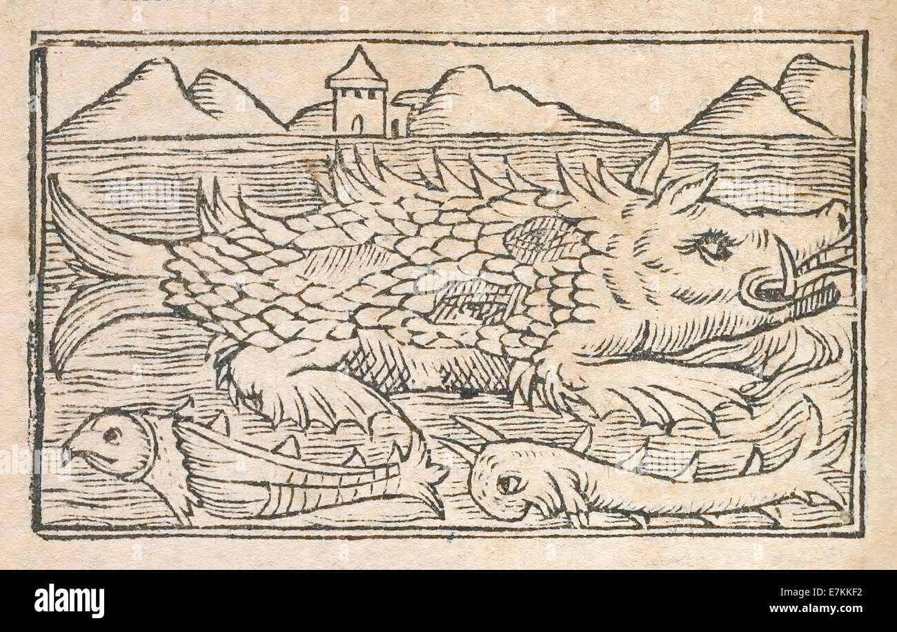 Monstrous walrus as illustrated by Olaus Magnus (1490-1557) published in 1555. See description for more information. Stock Photo