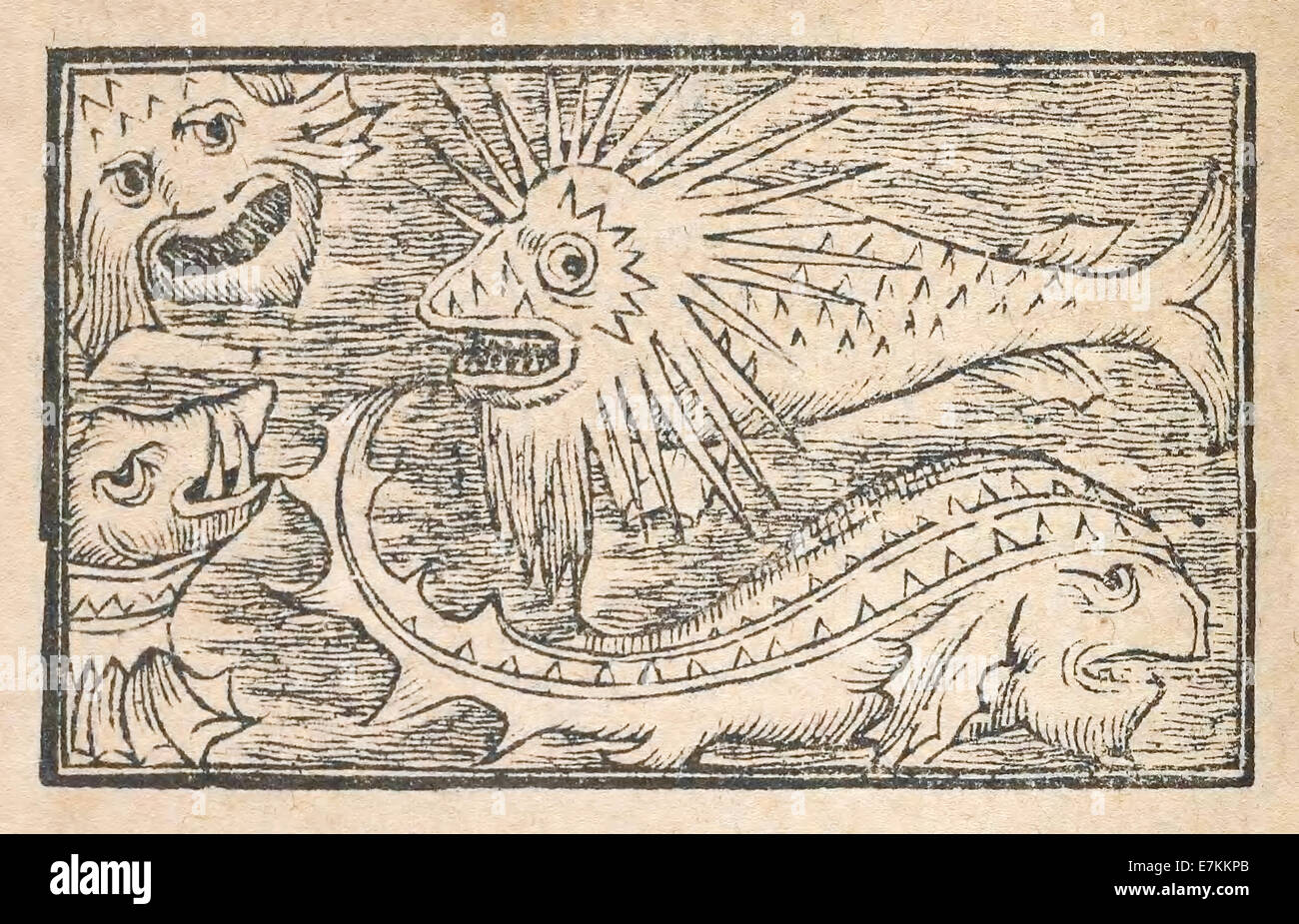 Sea monsters off Norway, illustrated by Olaus Magnus (1490-1557) published in 1555. See description for more information. Stock Photo