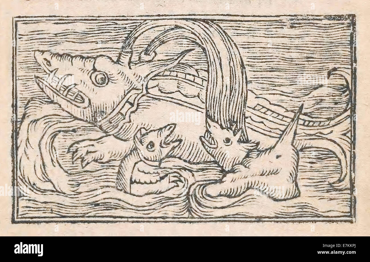 Monstrous sea creatures (devils) illustrated by Olaus Magnus (1490-1557) published 1555. See description for more information. Stock Photo