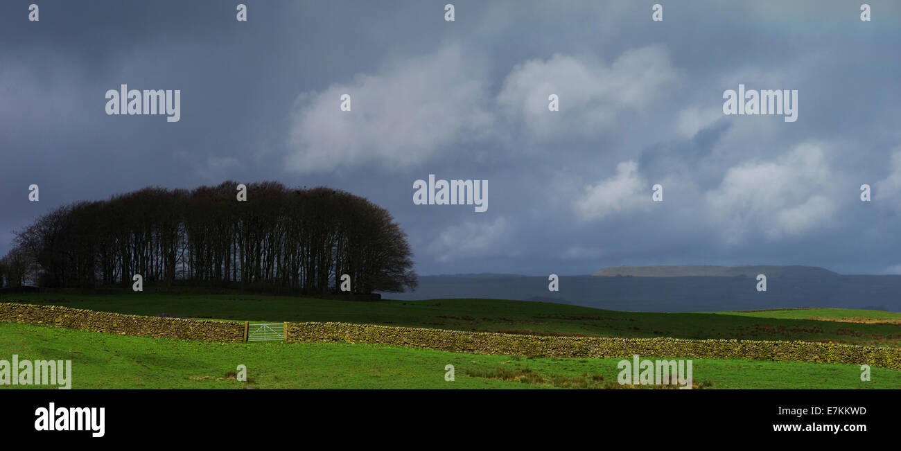 Ribblesdale Panoramic in early spring Stock Photo - Alamy