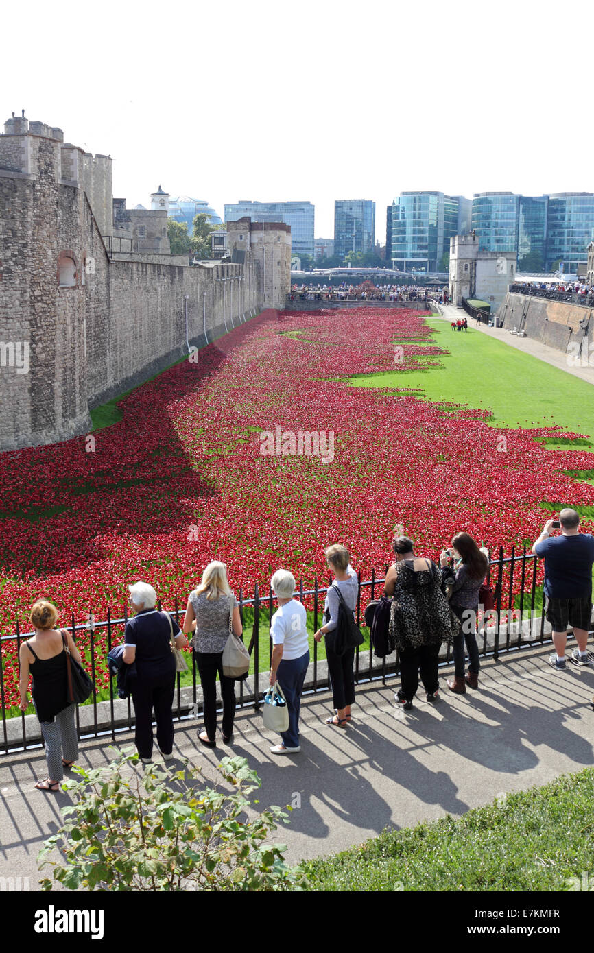 Remembrance Poppies at the Tower of London, England, UK Stock Photo - Alamy
