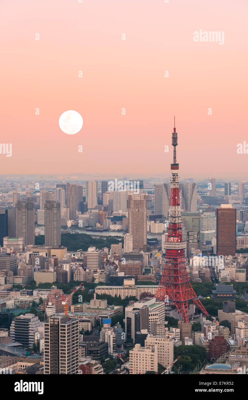 The Tokyo cityscape at dusk. Stock Photo