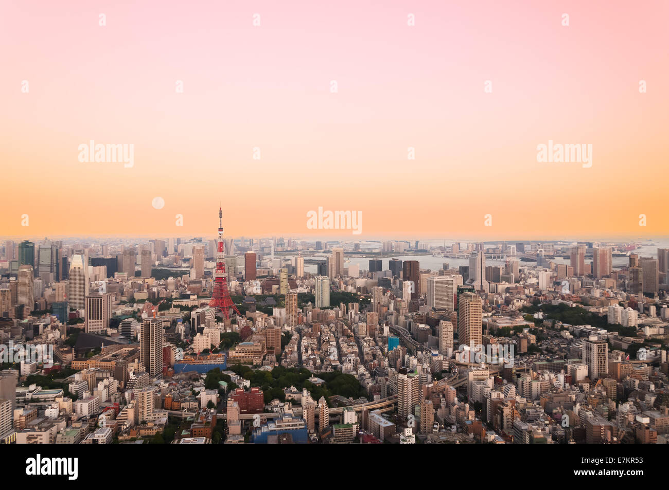 The Tokyo cityscape at dusk. Stock Photo