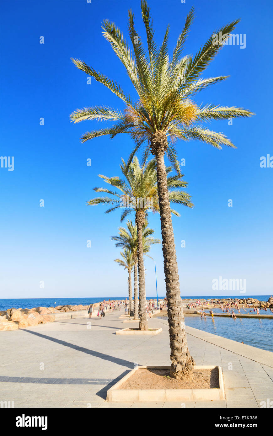 Promenade and beach in Torrevieja, Alicante, Spain. Stock Photo