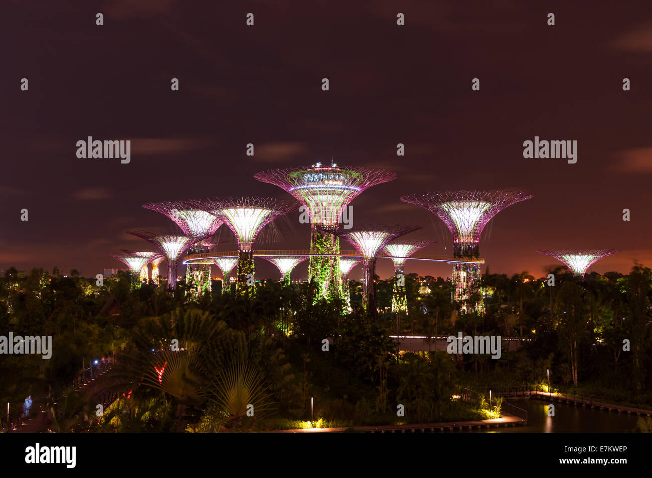 Gardens by the Bay in Singapore at night. Stock Photo