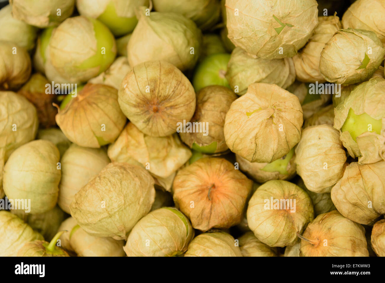 fresh farmers market fruits and vegetables Stock Photo - Alamy