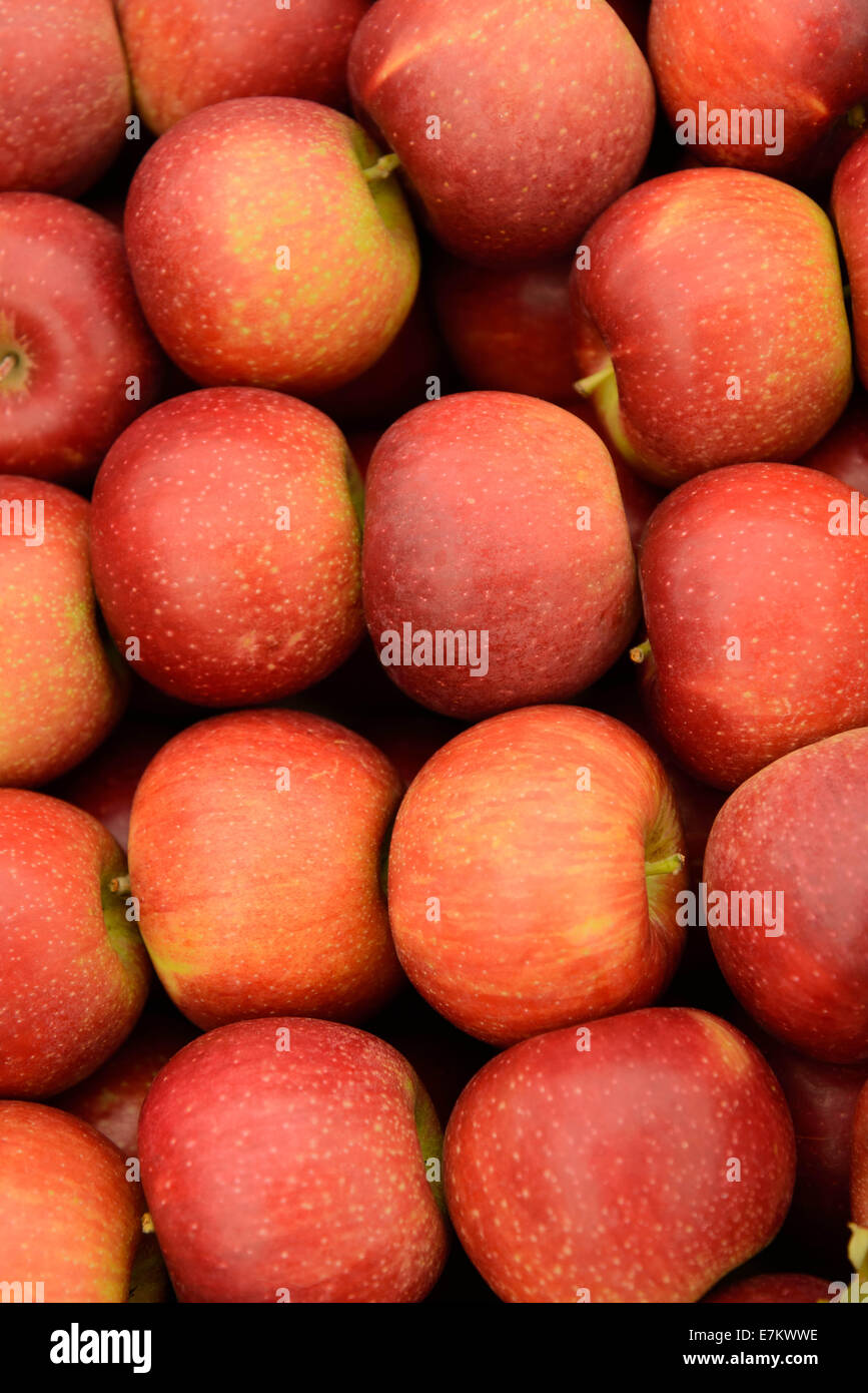 fresh farmers market fruits and vegetables Stock Photo - Alamy