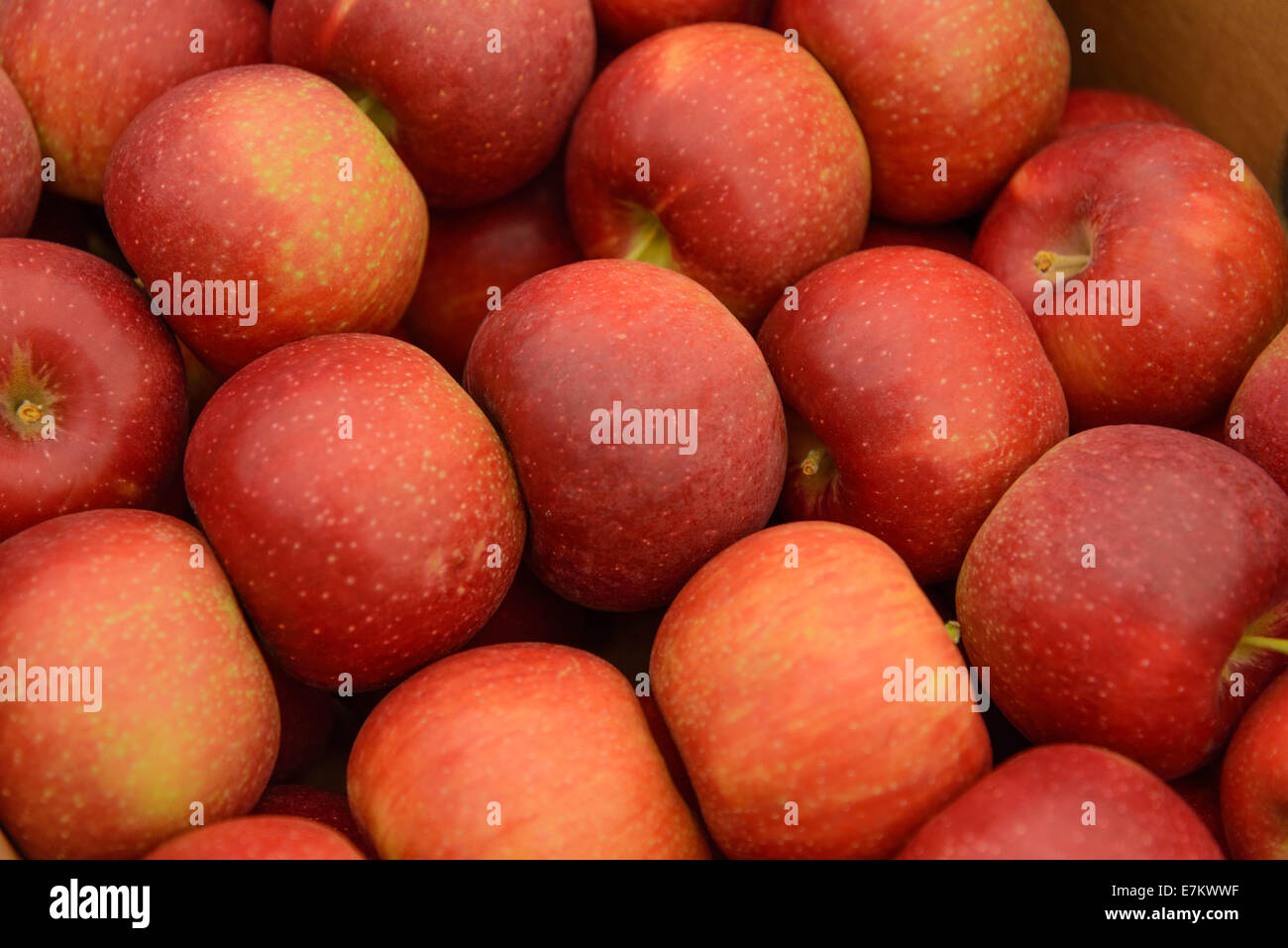 fresh farmers market fruits and vegetables Stock Photo - Alamy
