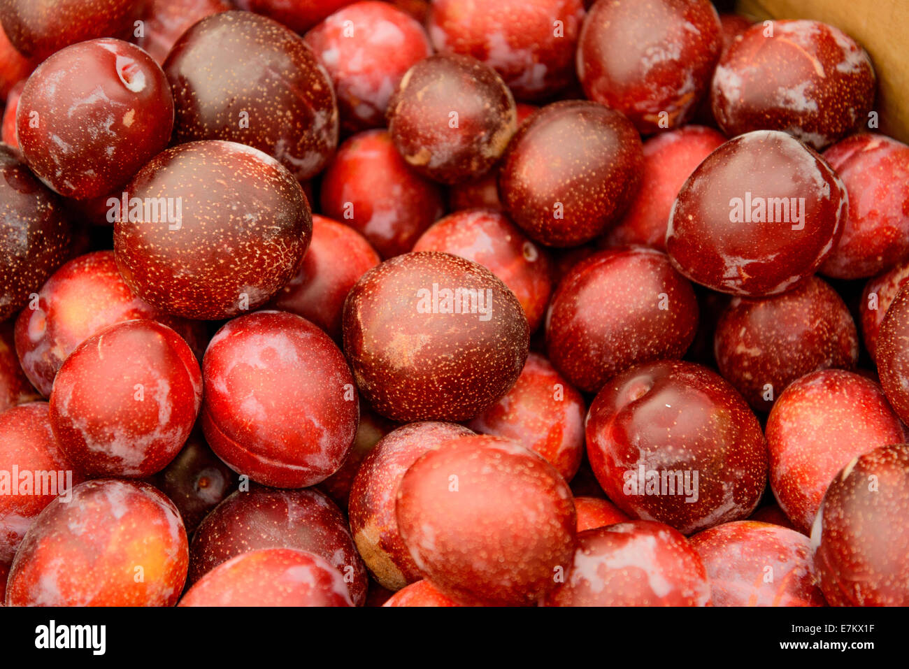 fresh farmers market fruits and vegetables Stock Photo - Alamy