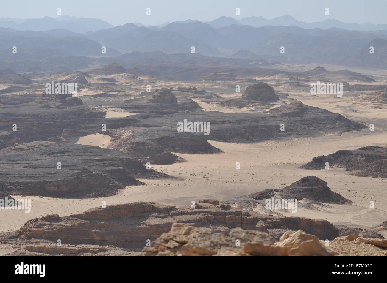 Sinai: the desert of wadi arada Stock Photo