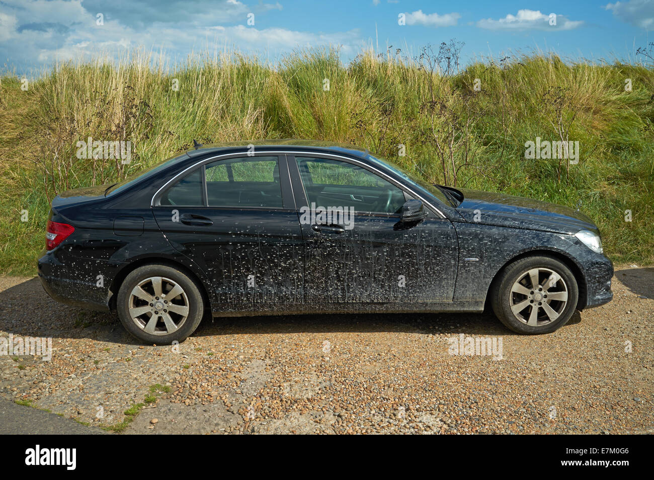 Dirty car UK Stock Photo Alamy