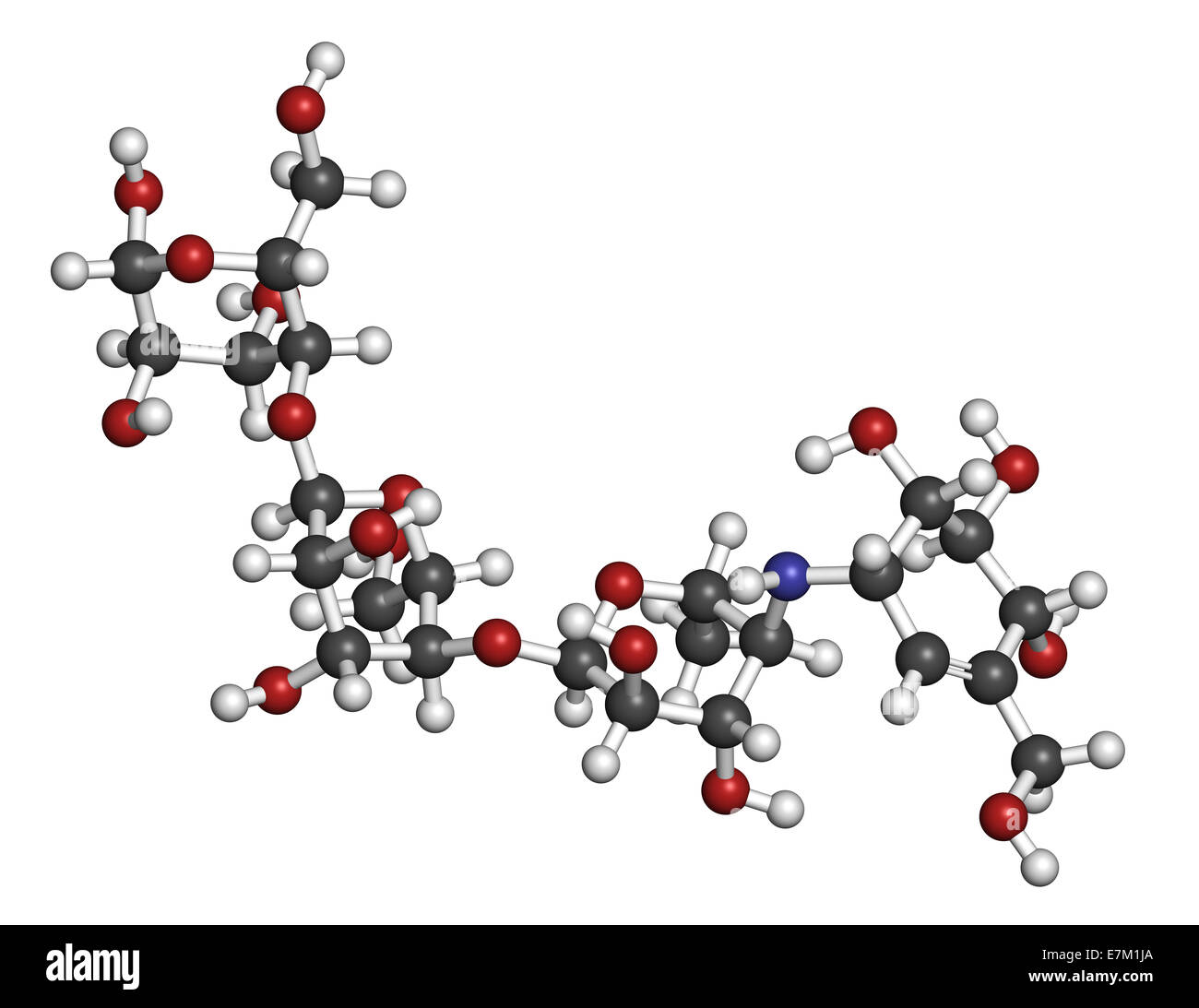 Carbohydrate digestion hires stock photography and images Alamy