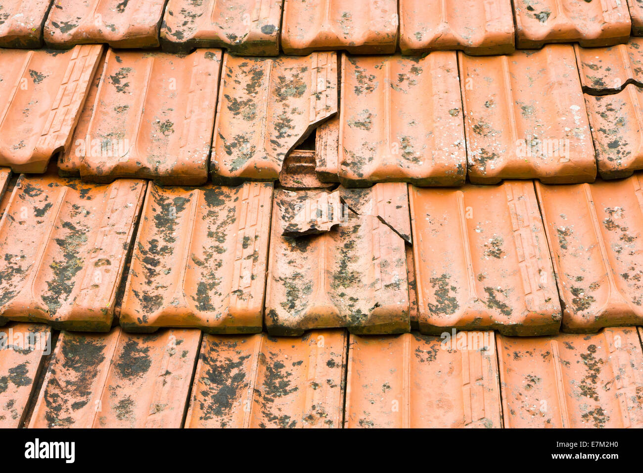 Broken terracotta tile hires stock photography and images Alamy