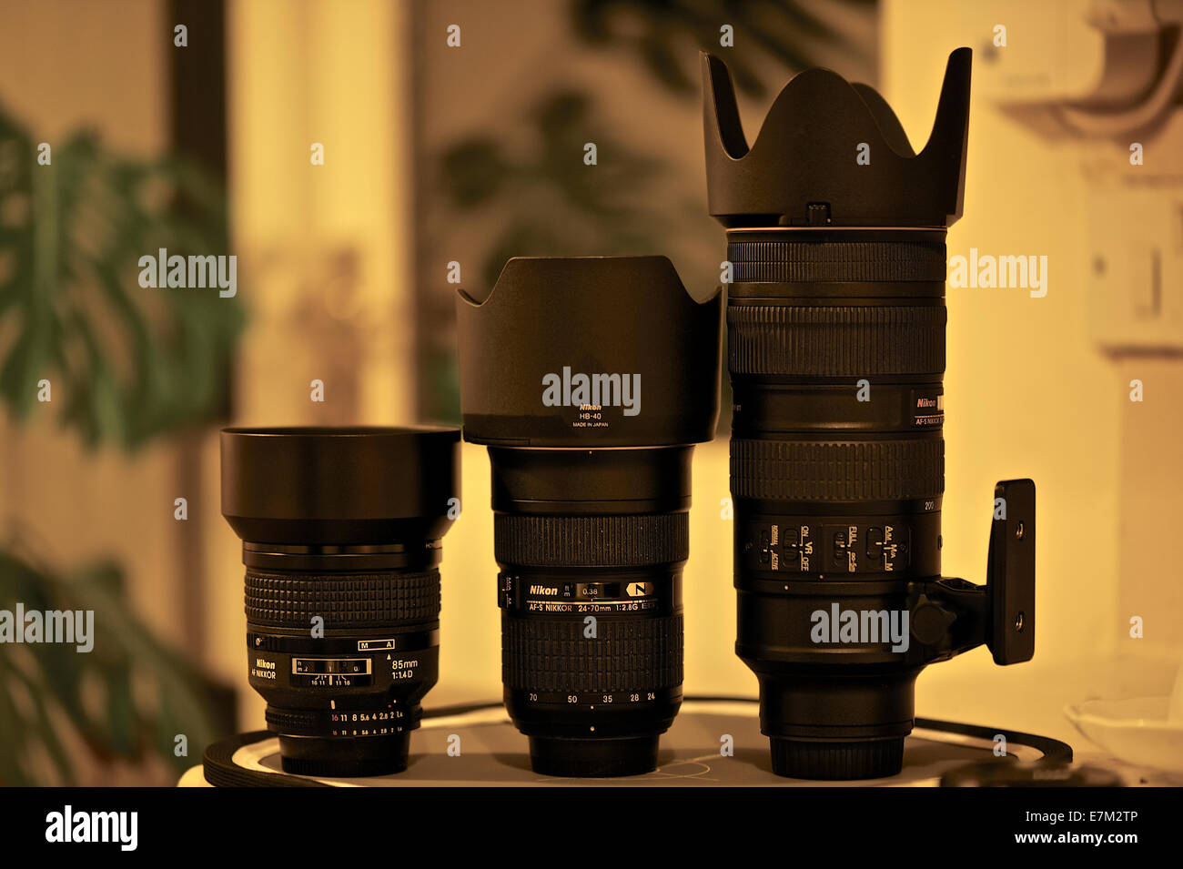 Photo of 3 Nikkor professional lenses with lens hood 85mm / 24mm-70mm / 70mm-200mm Stock Photo