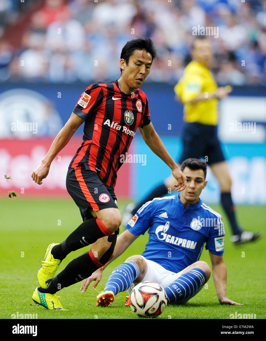 German Bundesliga, Season 2014/15, matchday 4,  20.9.2014, Schalke 04  - Eintracht Frankfurt ---- Makoto Hasebe, Kaan Ayhan (S04) Stock Photo