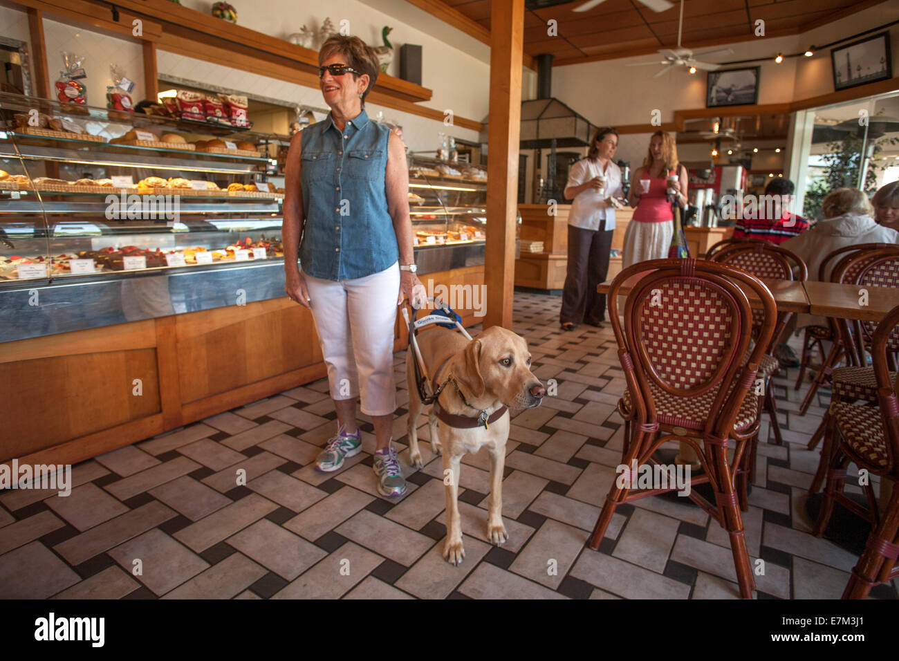 Lead by her yellow Labrador retriever guide dog, a blind woman visits a restaurant in suburban Irvine, CA. Guide dogs are legally permitted in restaurants. Note special harness. Stock Photo