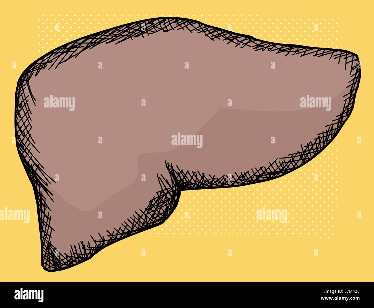 Human liver cartoon over yellow halftone background Stock Photo