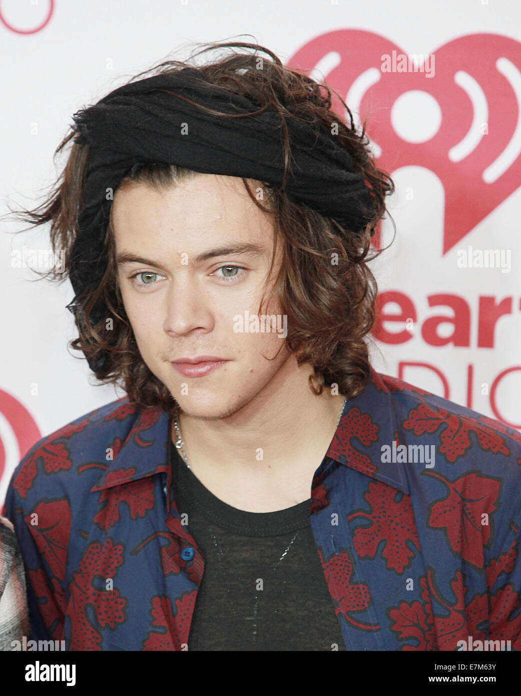 HARRY　TOUR 2014 84e42fd963cdfc1415d56a1104618f