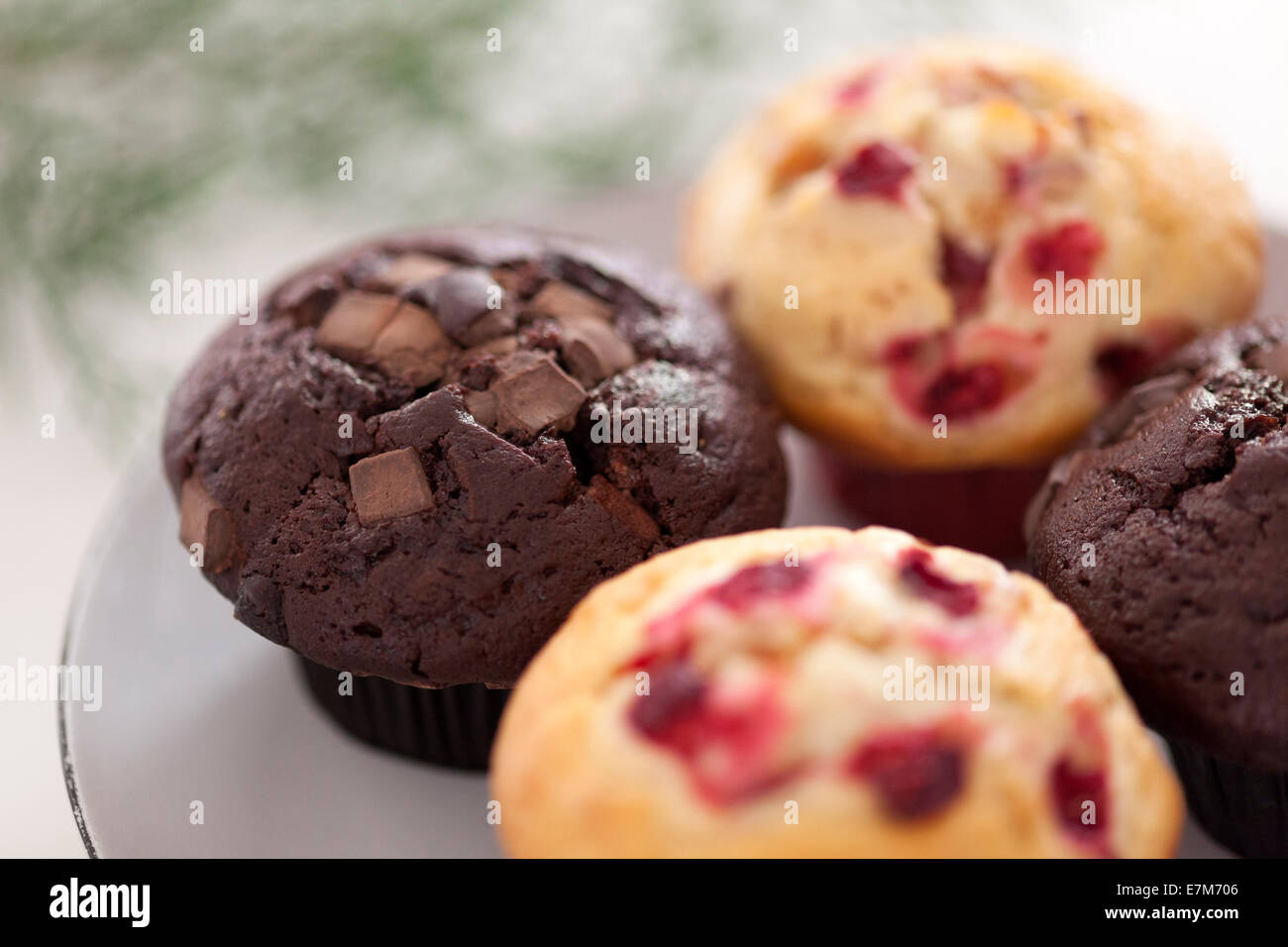 Double chocolate chip muffins and cranberry muffins Stock Photo Alamy
