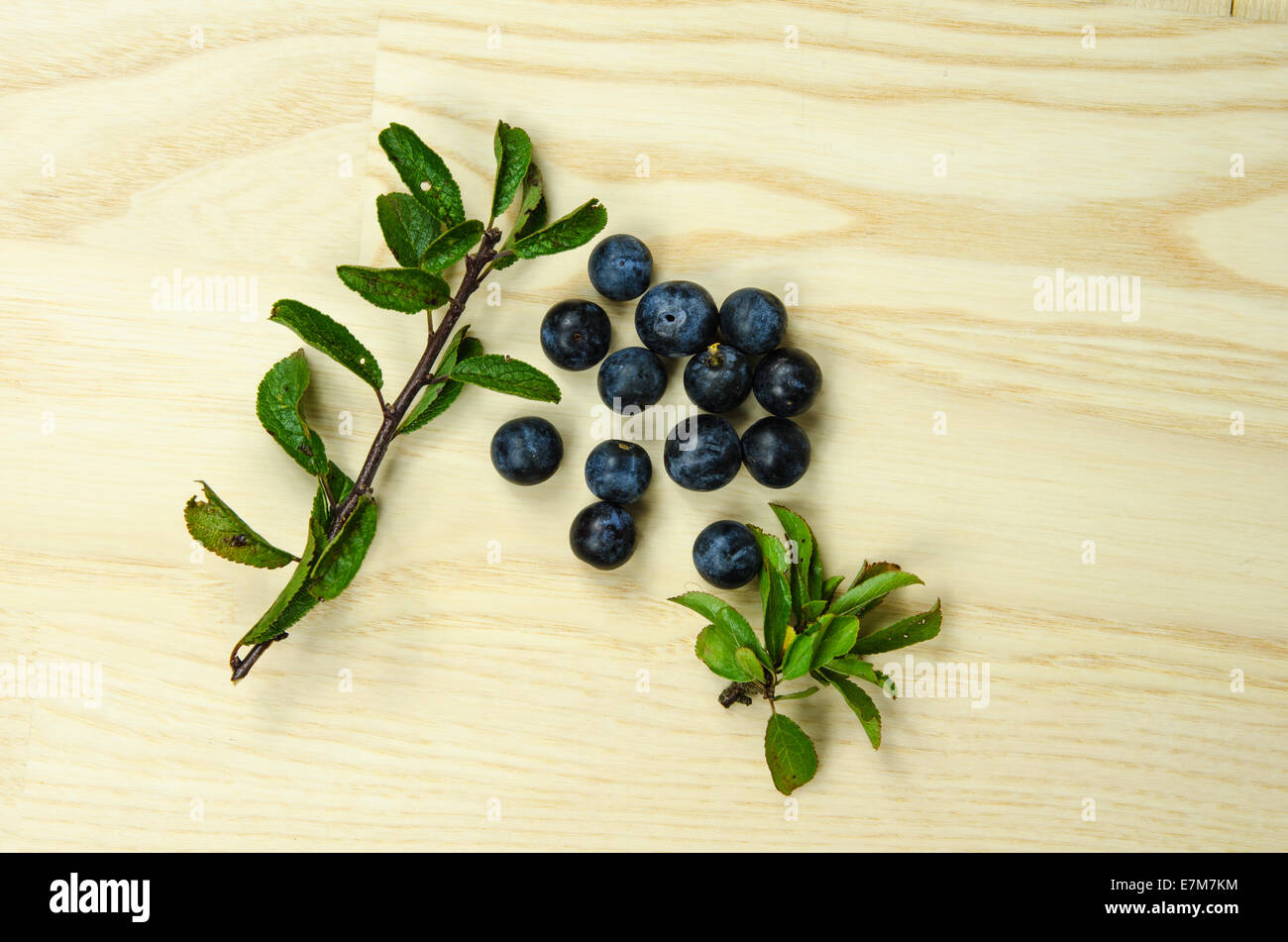 Sloe or blackthorn berries with green leaves at a bright wooden surface Stock Photo