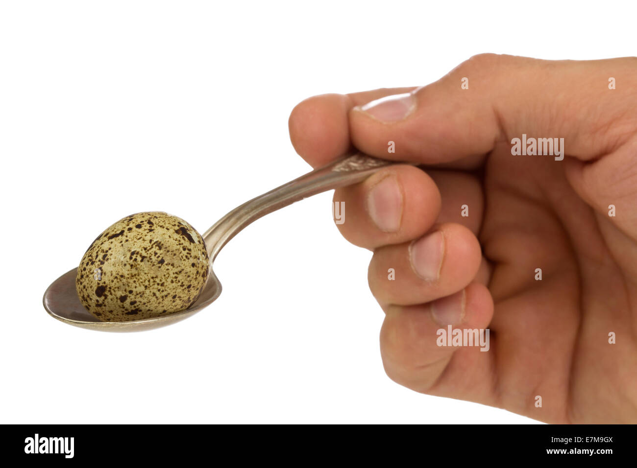 Quails egg in a spoon isolated against white Stock Photo