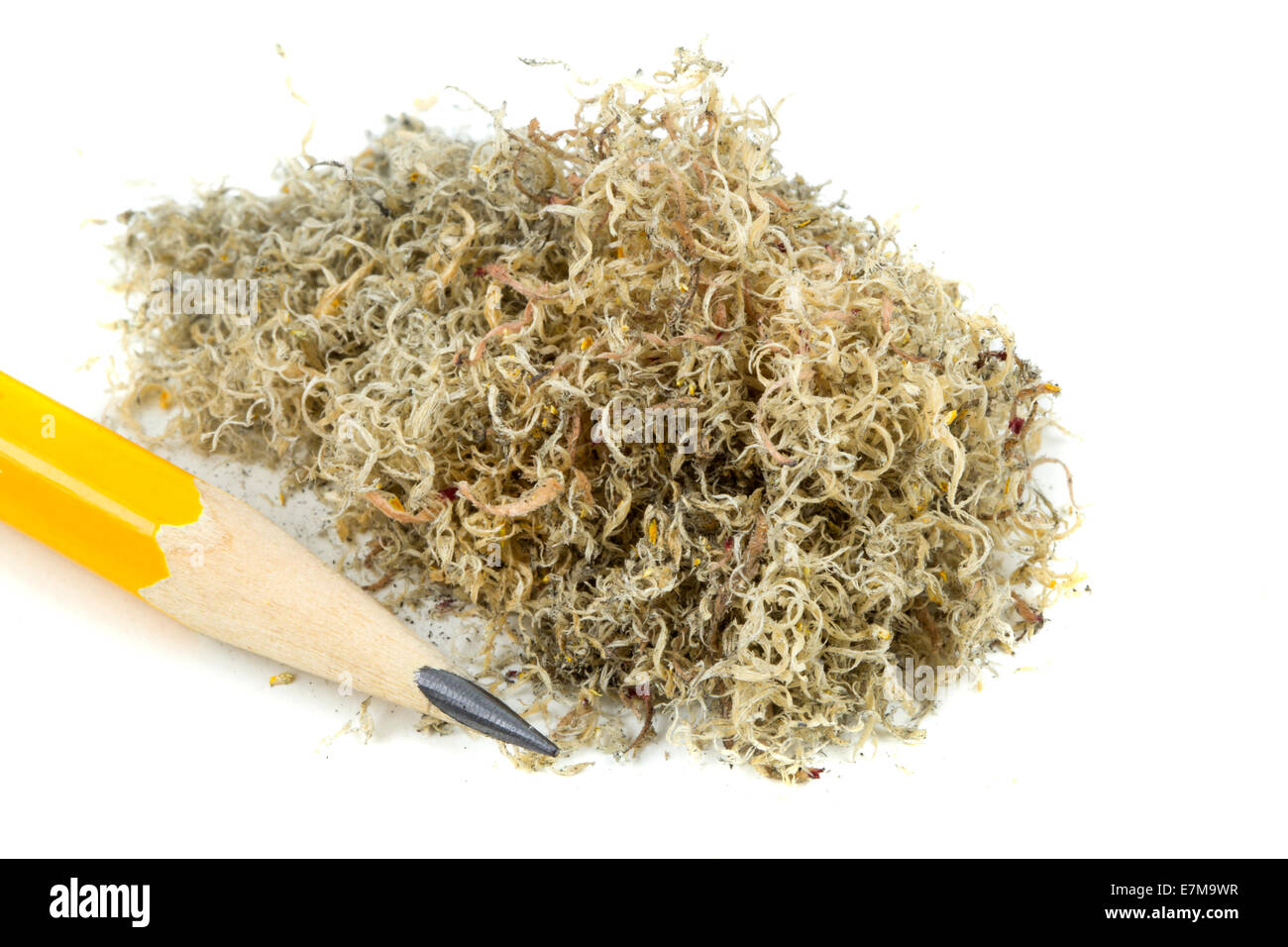 Pencil with sharpening shavings on white background Stock Photo