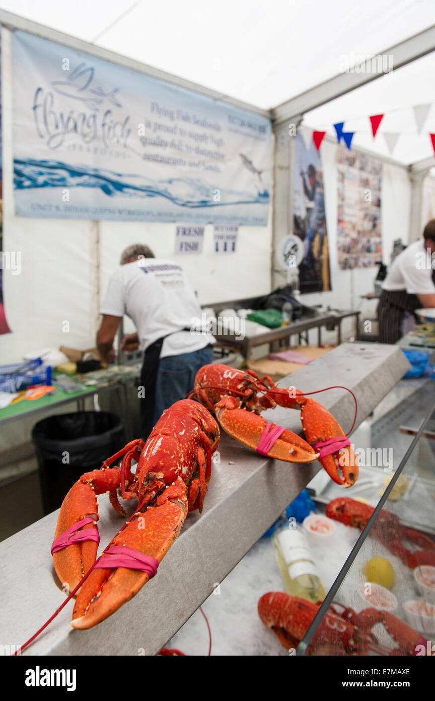 Cooked lobsters on sale at the Newquay Fish Festival in Newquay Harbour