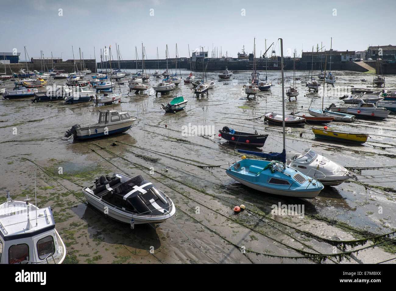 Low tide in Penzance Harbour Stock Photo Alamy