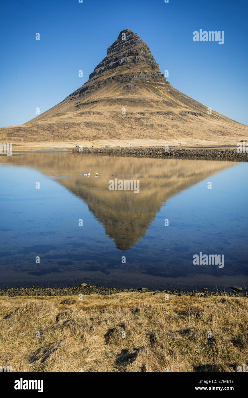 The Kirkjufell mountain in daylight reflected in the water of Grundarfjordur bay, Snaefellsnes Peninsula, in western Iceland. Stock Photo