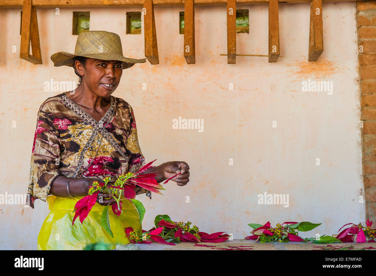 A lady preparing flowers to decorate paper in Madagascar Stock Photo