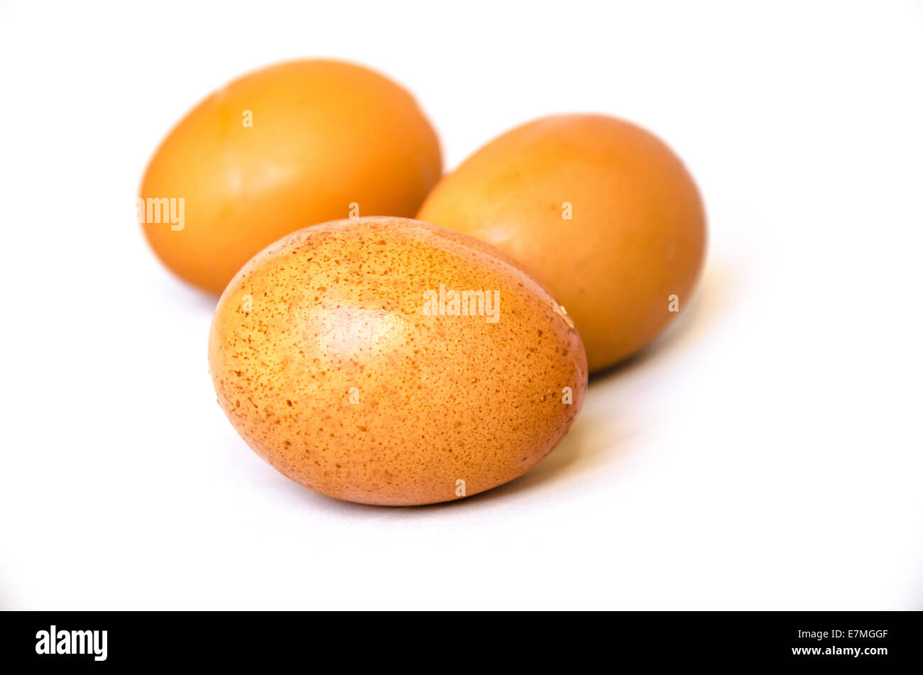 brown chicken egg on white background Stock Photo