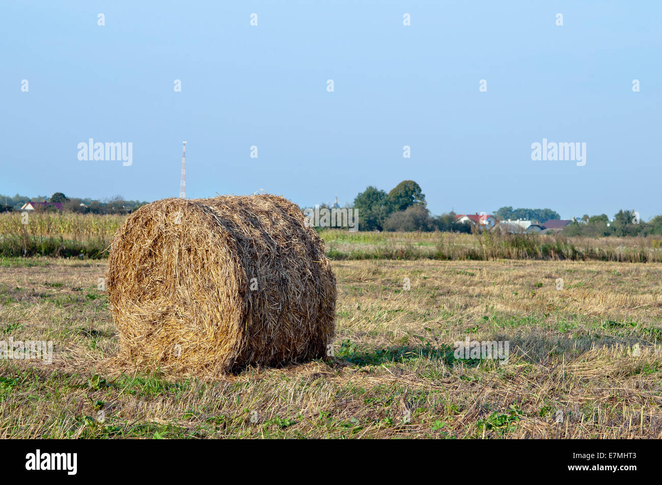 dry hay bale on green meadow Stock Photo - Alamy