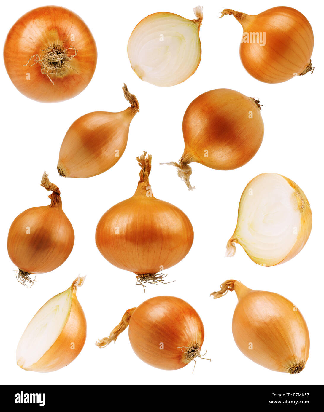 Set onions Stock Photo